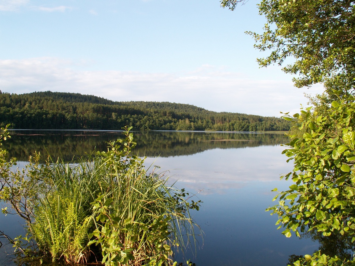Озера Ульяновской области