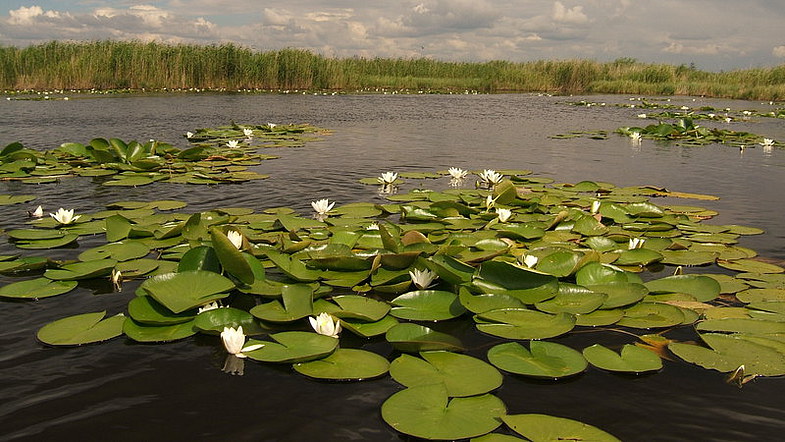 Озера Тверской области