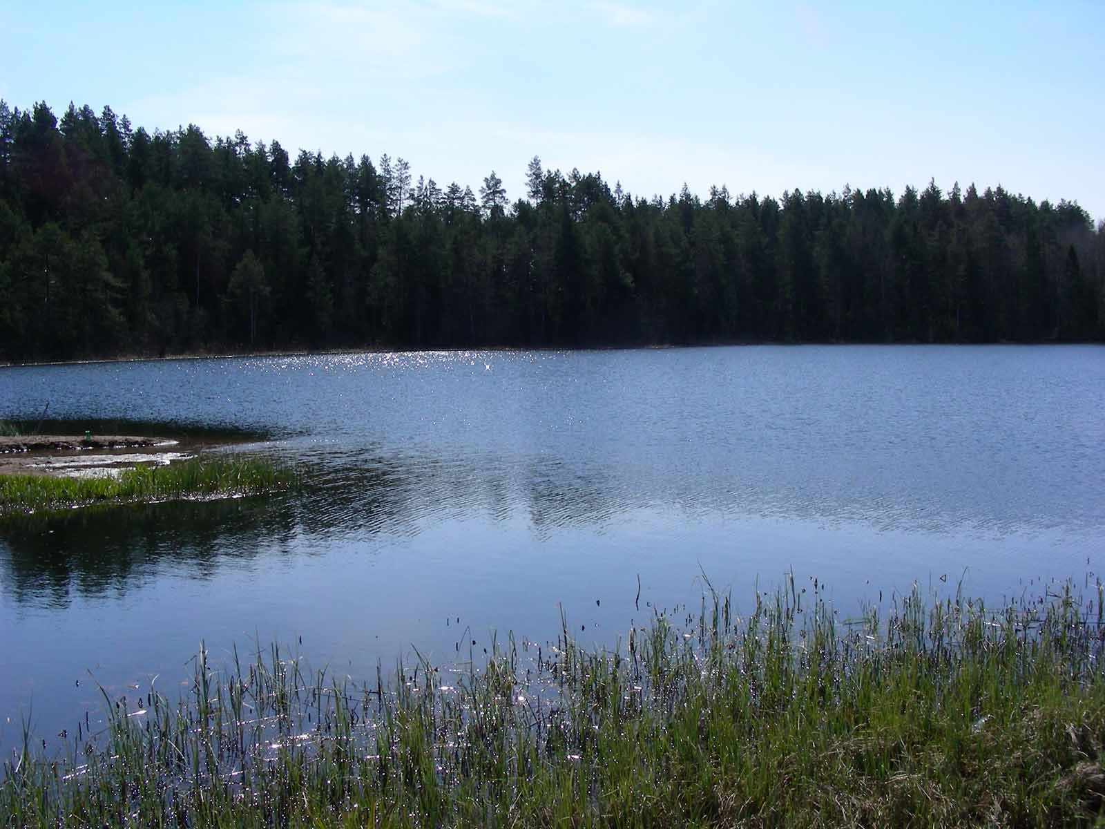Озеро Быковщинское