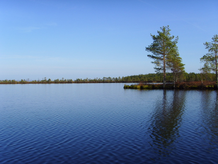 Озера республики Коми