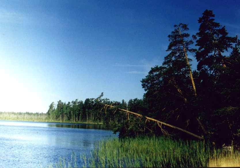 Камско-Бакалдинская группа болот
