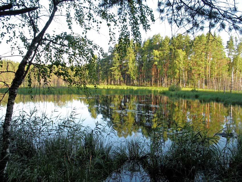 Озеро Малое Степанкино