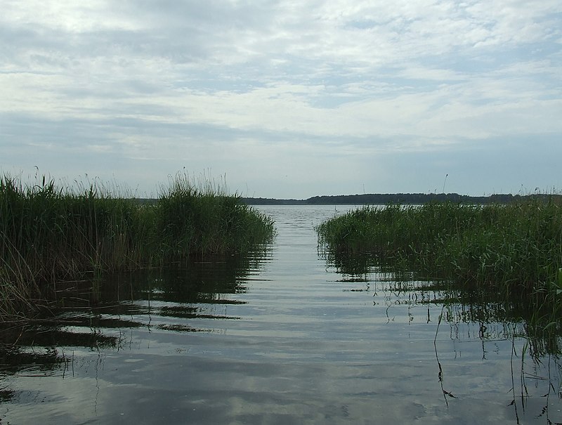 Озера Омской области