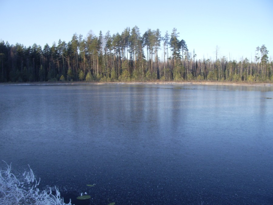 Озеро Большое (Краснобаковское)