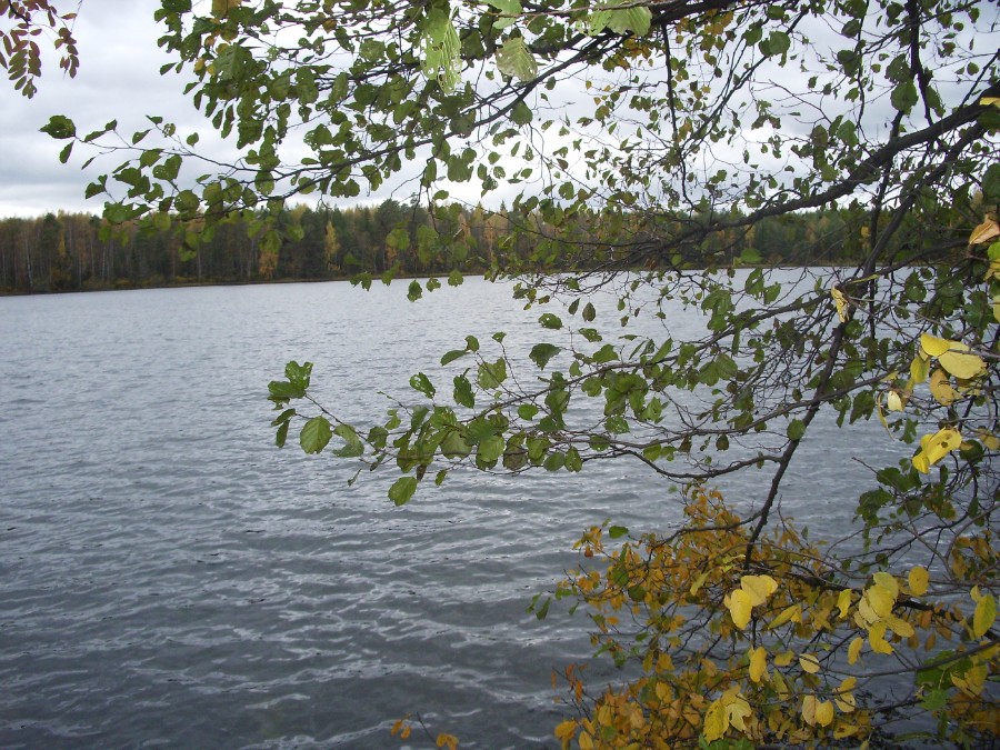 Озеро Боровское - Татарское