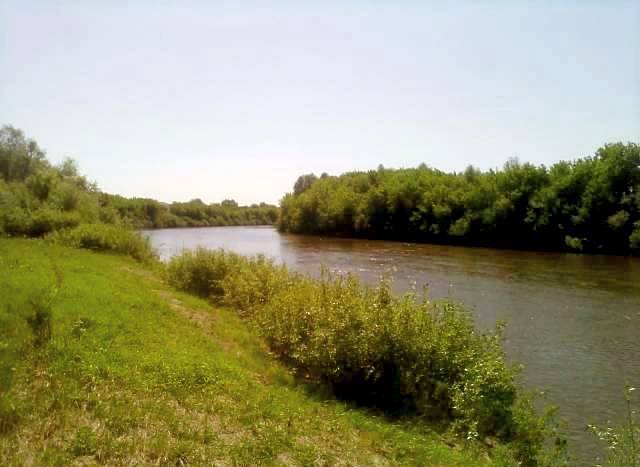 Озерный комплекс (Новое Патрикеево)