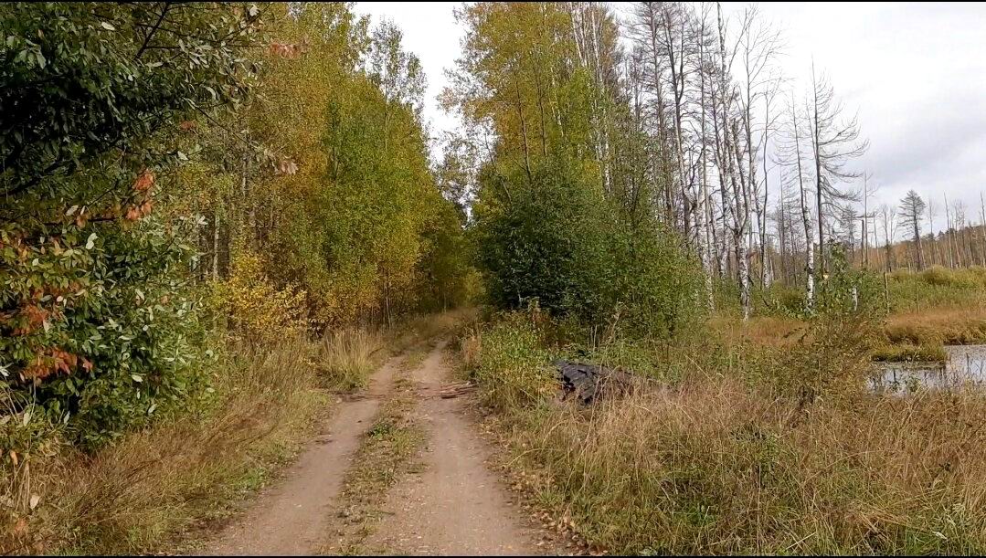 Сибирский тракт в Кировской области