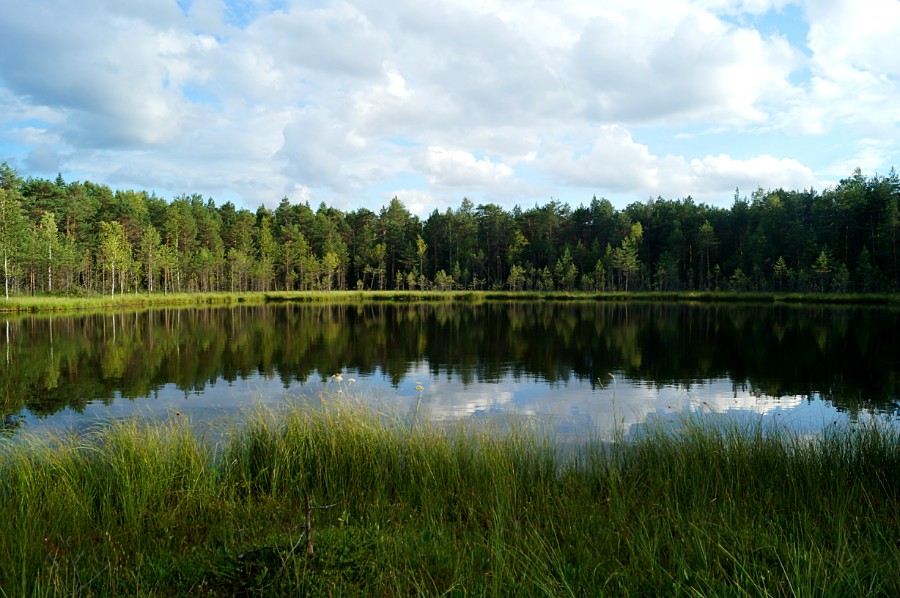 Озеро Соловецкое, село Ченебечиха