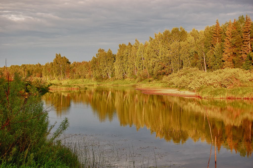 Река Медведица Волжская