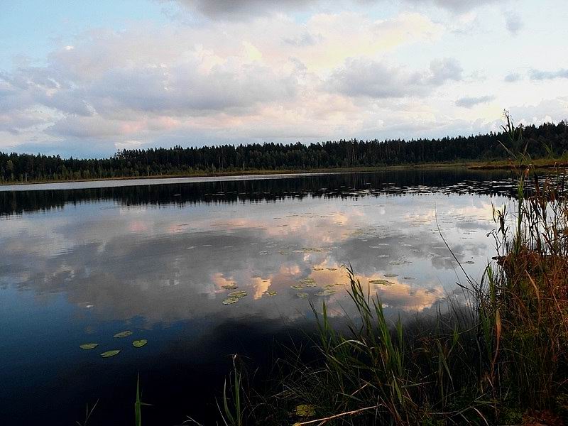Озеро Николаевское