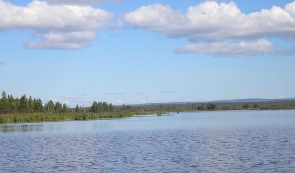 Озеро Донты, Донское
