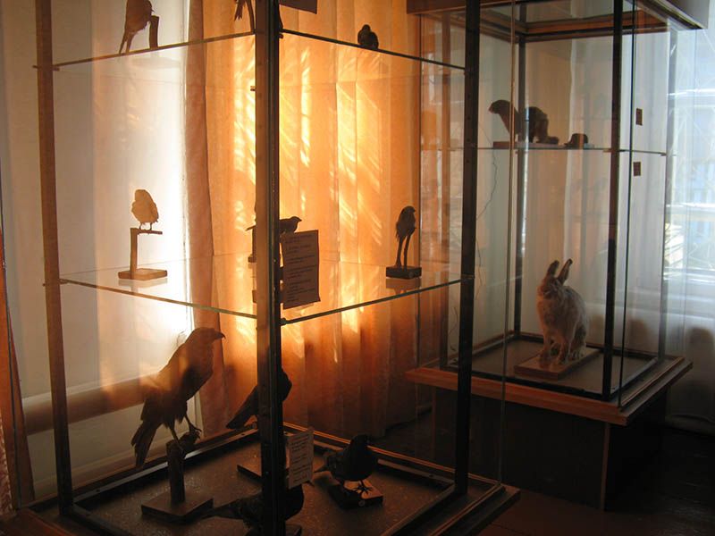 Музей в Сернуре