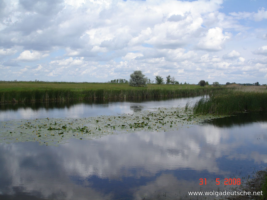 Реки Волгоградской области