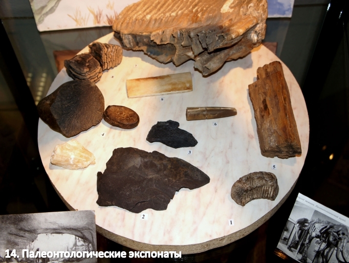 Медведевский археологический музей