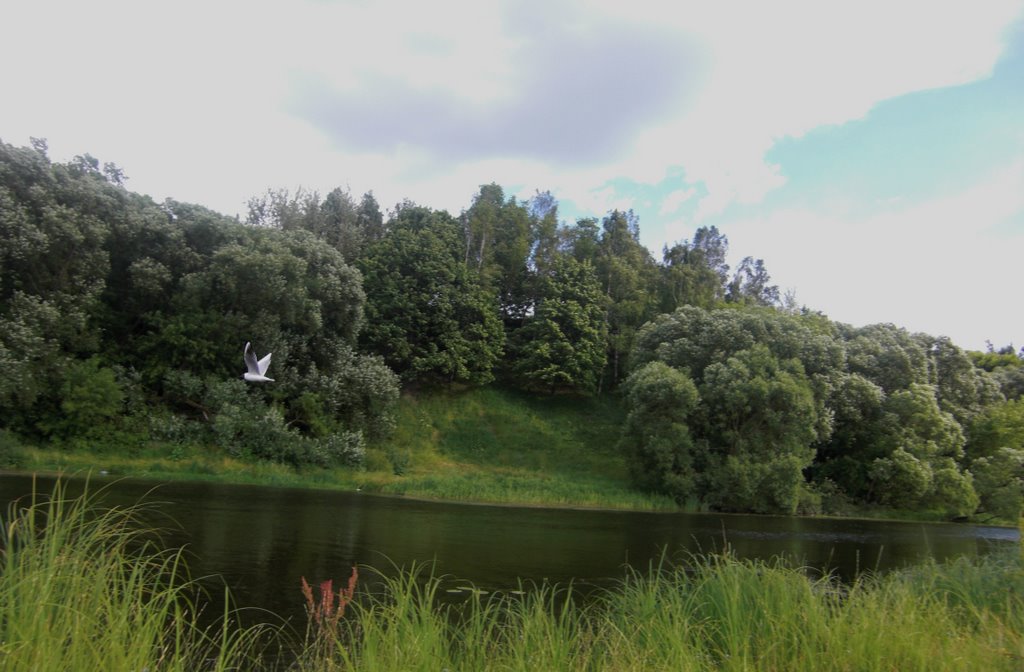 Реки Смоленской области
