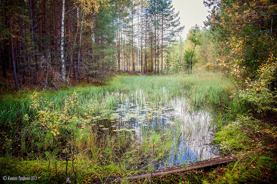 болото Казанское