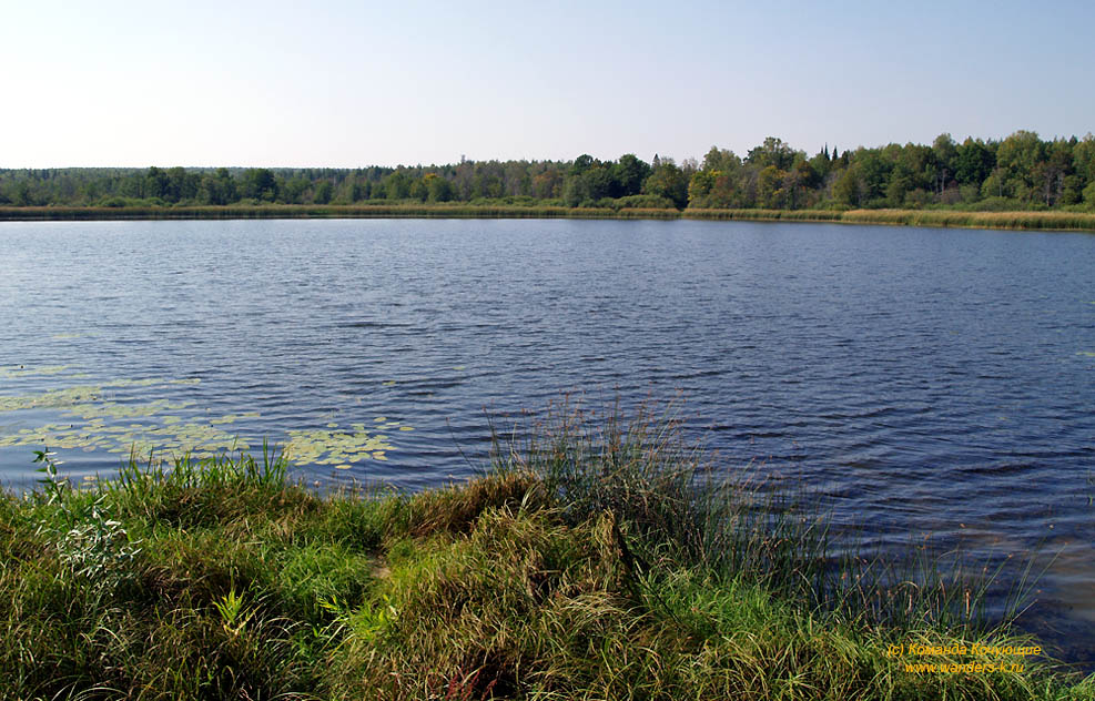 Озеро Шальер (река Ировка)