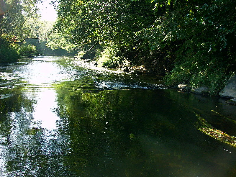 Река Писса