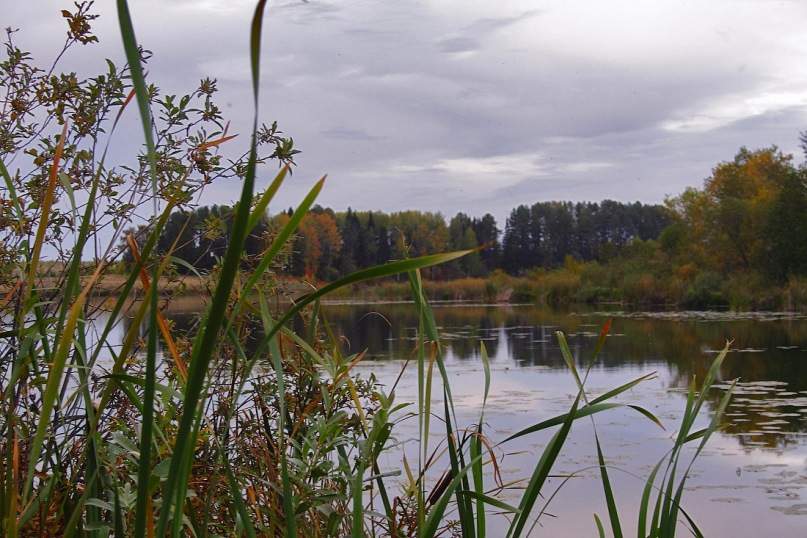 Озеро у села Салобеляк