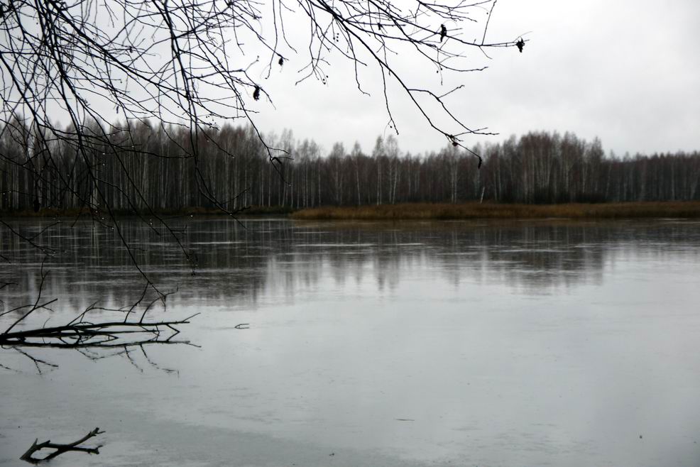 Озеро Торфянка