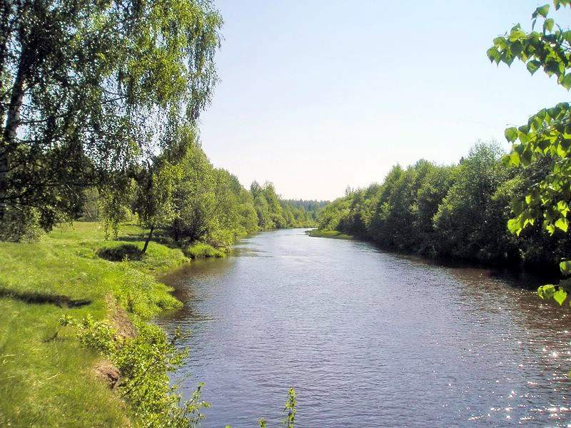 Река Узола