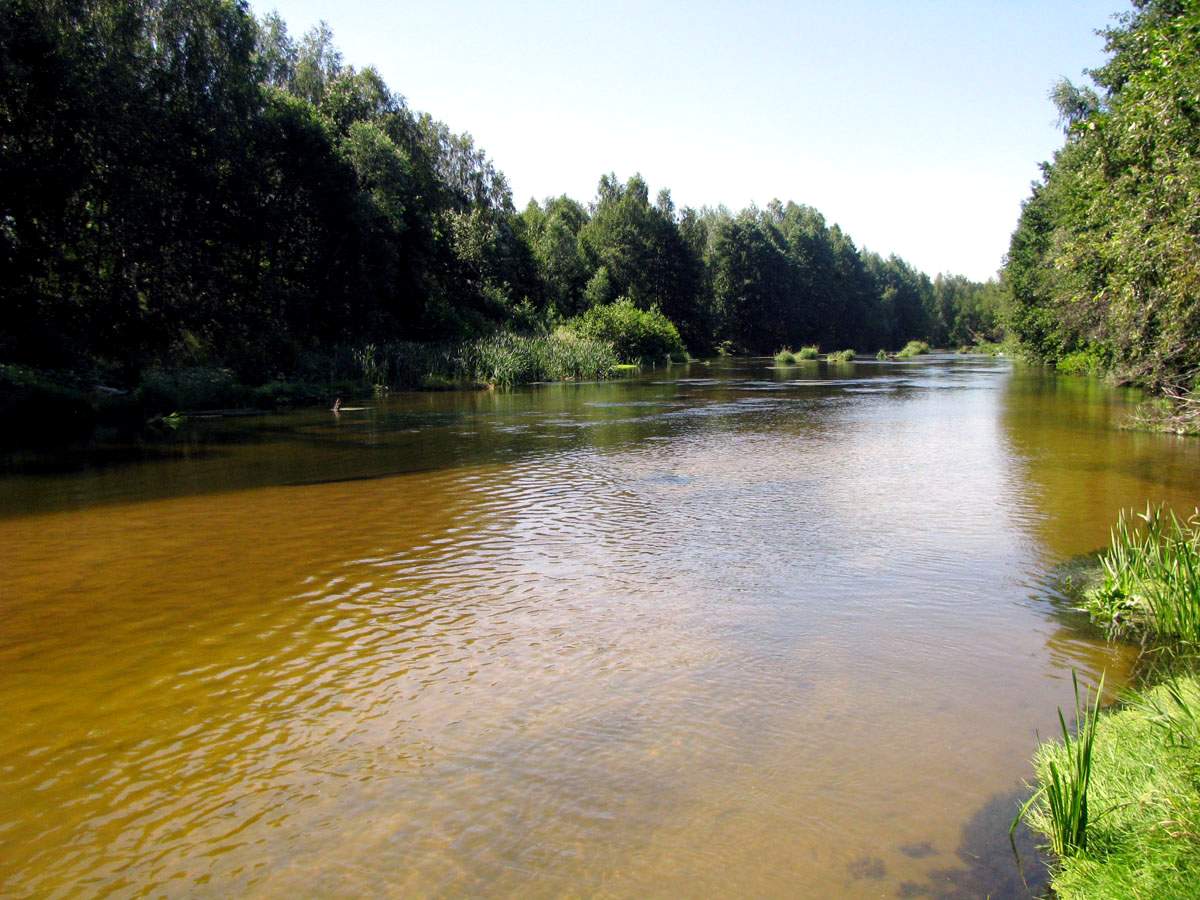 реки Нижегородской области