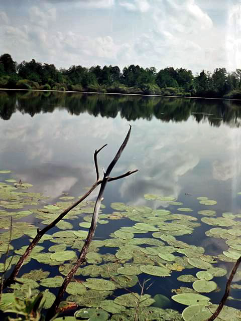 Озеро Черное (деревня Великополье)