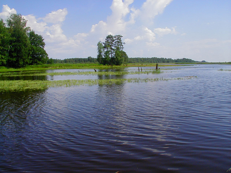 Озера Вологодской области