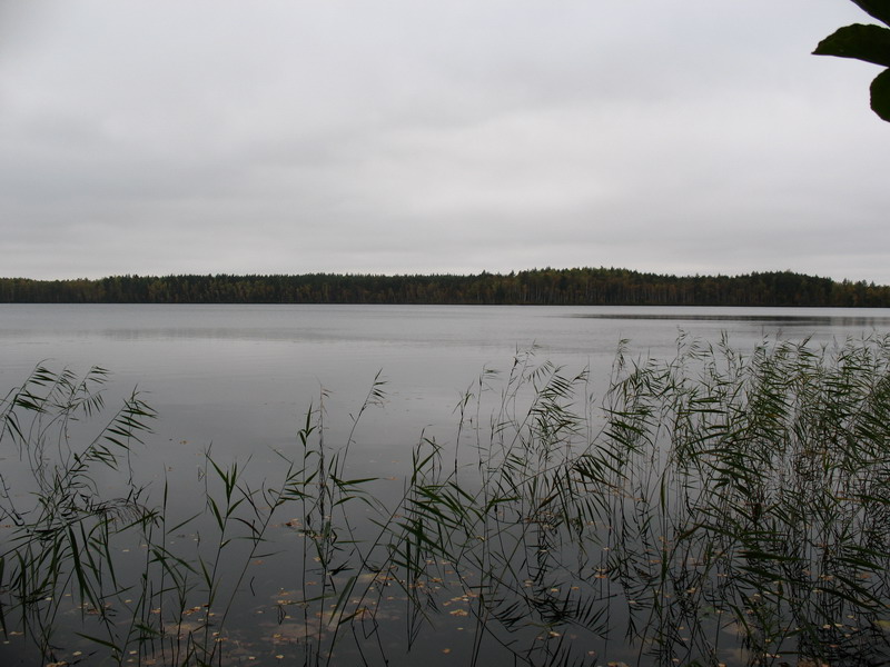 озеро Малое Плотово