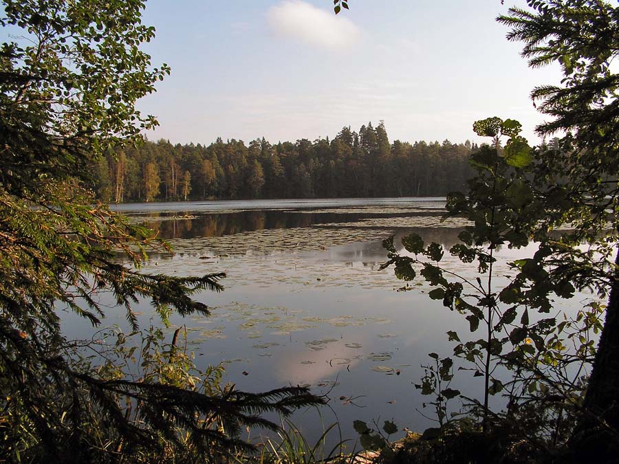 Озеро Оланге, Окуневое