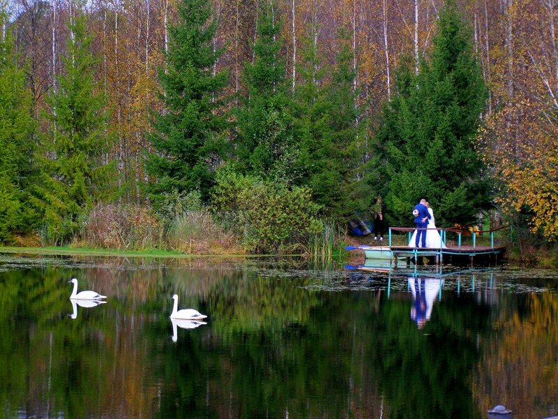 Национальный парк Орловское Полесье | Марийские Лесоходы
