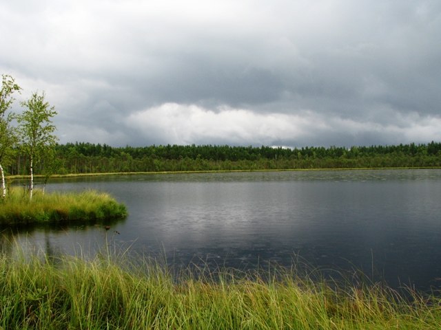 Озеро Пекшеевское, Водопойное
