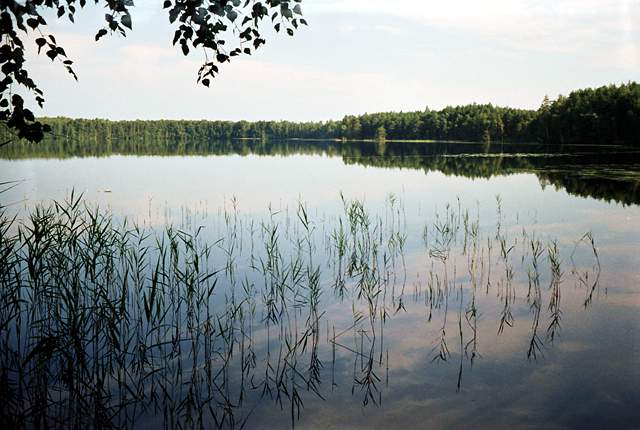 озеро Малое Плотово