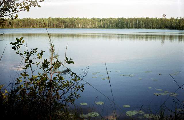 Озеро  Шумское