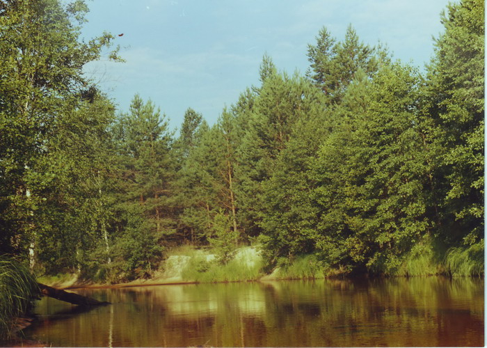 Озеро  Шумское