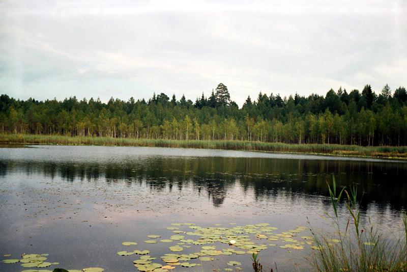 озеро Якте-ер Сосновое