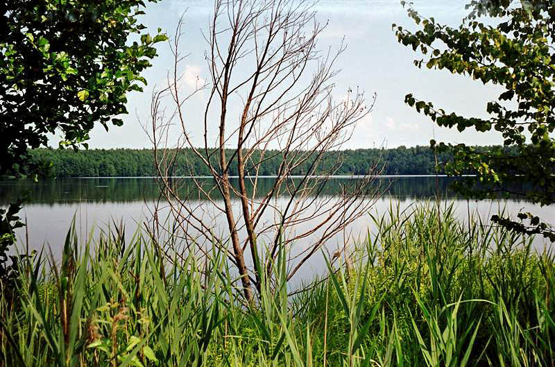 Озеро Вышкарь-яр