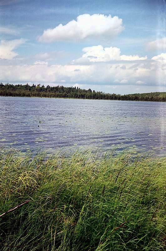 Озеро Вась-Яр