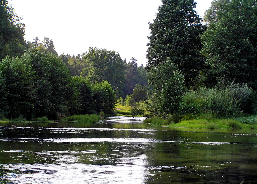 река Юшут около устья