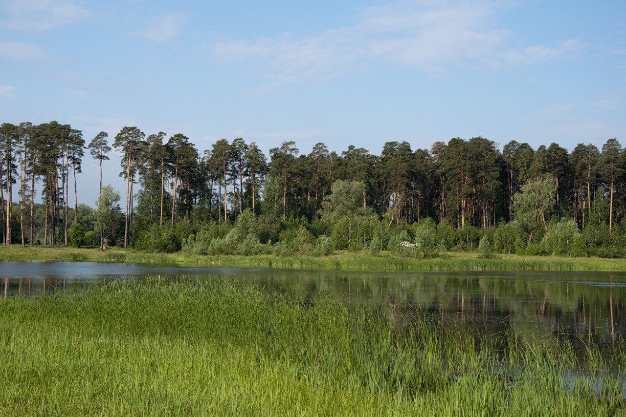 фотографии озер тамбовской области