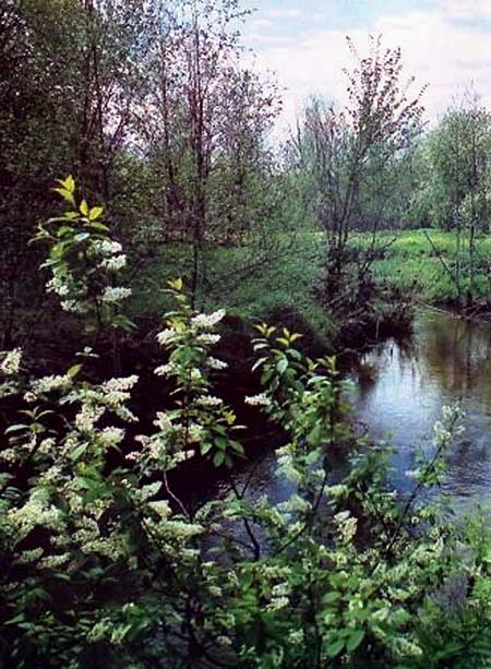 Команда Кочующие - Река Лубянка – самая чистая река Татарстана