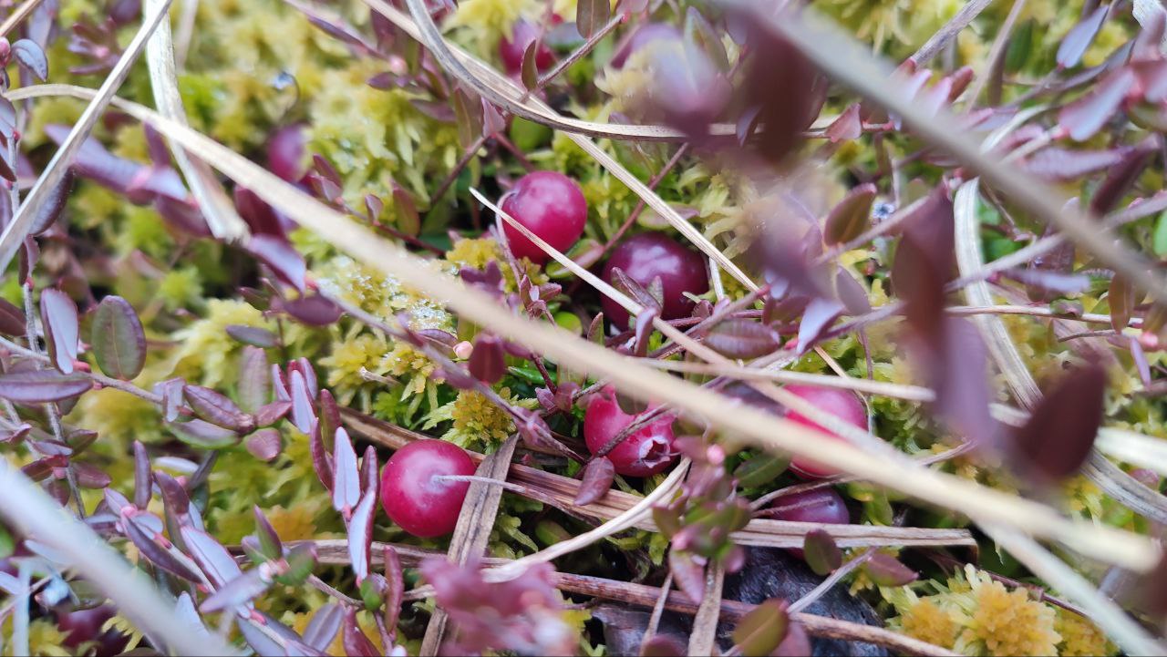 Озеро Кучко-Ер (Кучук-ер)