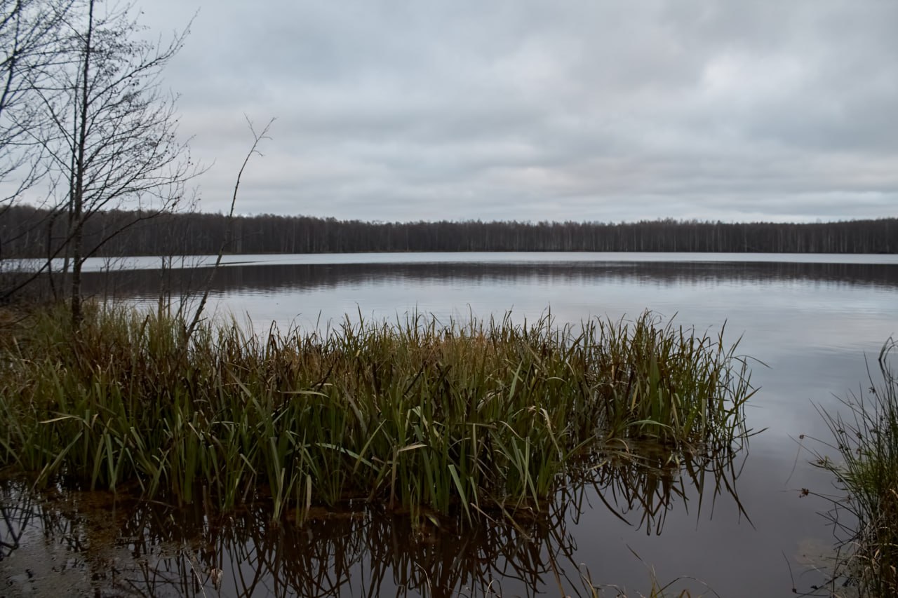 Озеро Черное