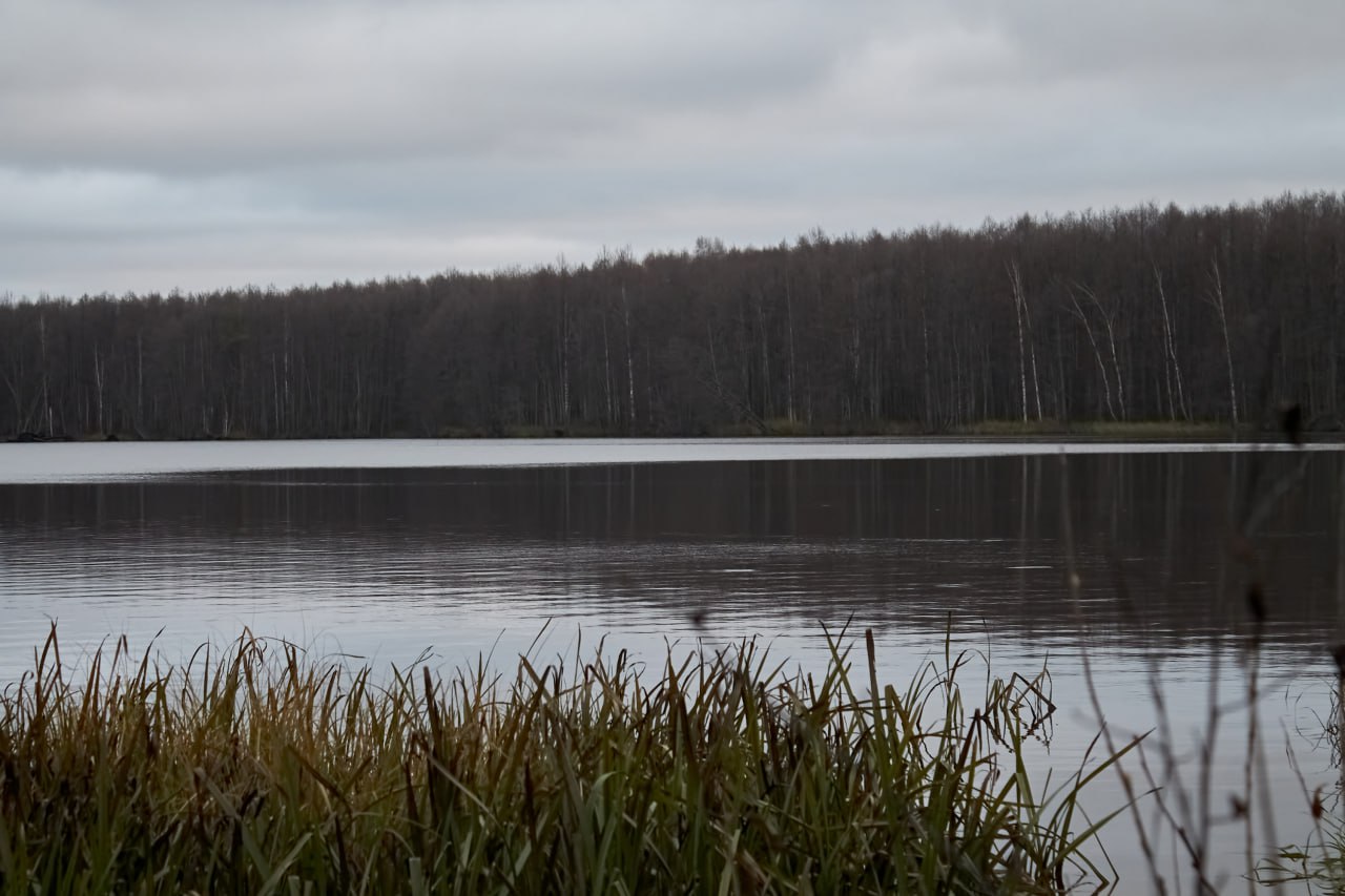 Озеро Черное