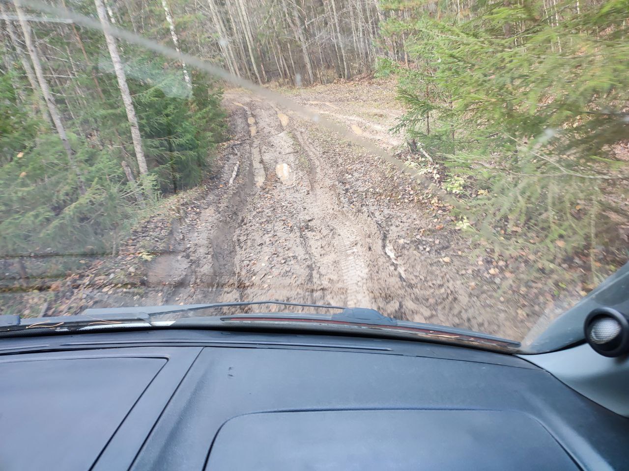 Дорога вдоль Большой Кокшаги