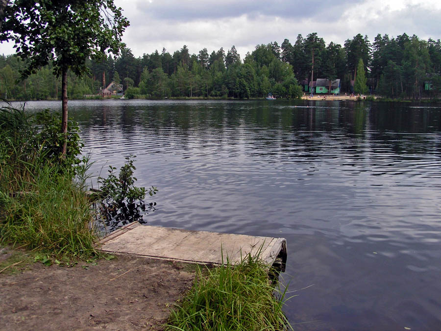 Озеро Сарженское в Ленинградской области: информация, локация, особенности