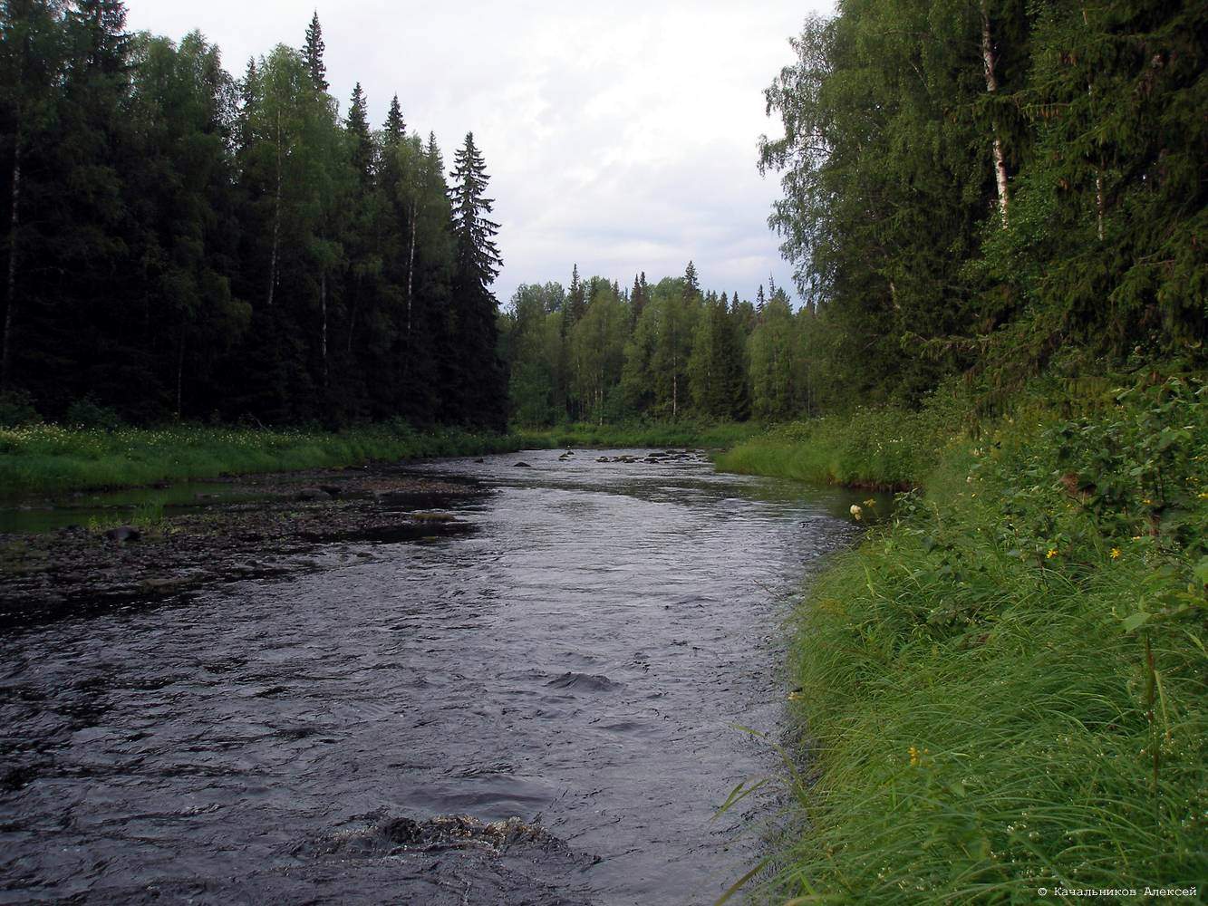 Реки Архангельская область