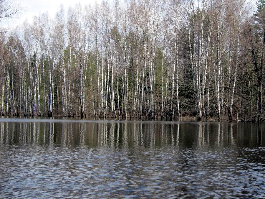 Река Черная Московская область - информация о лучшей рыбалке