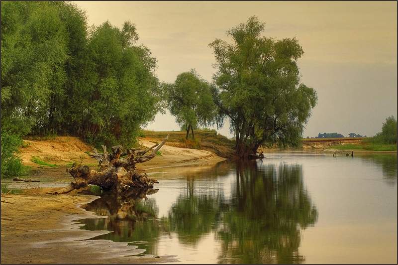 Река Летка