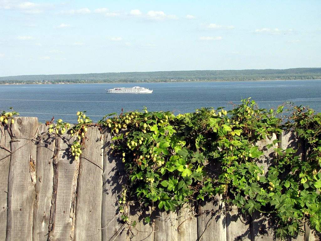 Село Нижний Услон, Верхнеуслонский район, республика Татарстан | Марийские  Лесоходы